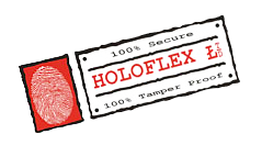 Vision Holography